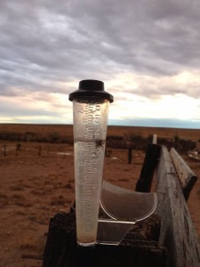 3.6 inches of rain at the cattle guard!
