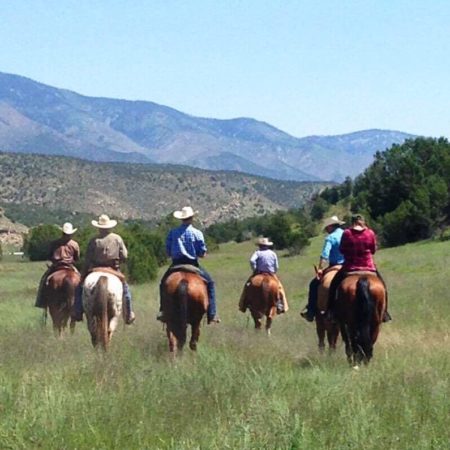 Sleep Under the Stars - Authentic Old West Style Cattle Drives